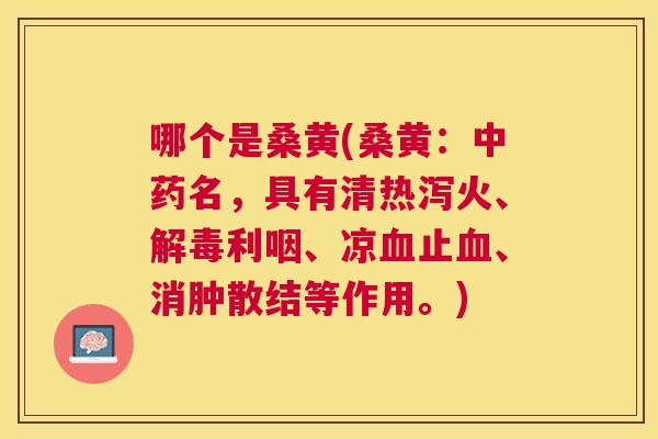 哪个是桑黄(桑黄:名,具有清热泻火、利咽、凉止、消肿散结等作用。) 哪个是桑黄(桑黄:名,具有清热泻火、利咽、凉止、消肿散结等作用。)