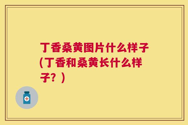 丁香桑黄图片什么样子(丁香和桑黄长什么样子?) 丁香桑黄图片什么样子(丁香和桑黄长什么样子?)