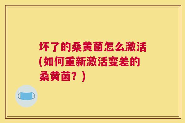 坏了的桑黄菌怎么激活(如何重新激活变差的桑黄菌?) 坏了的桑黄菌怎么激活(如何重新激活变差的桑黄菌?)