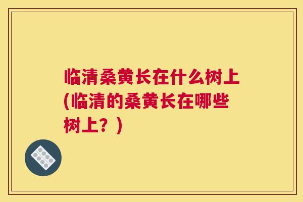 临清桑黄长在什么树上(临清的桑黄长在哪些树上?) 临清桑黄长在什么树上(临清的桑黄长在哪些树上?)