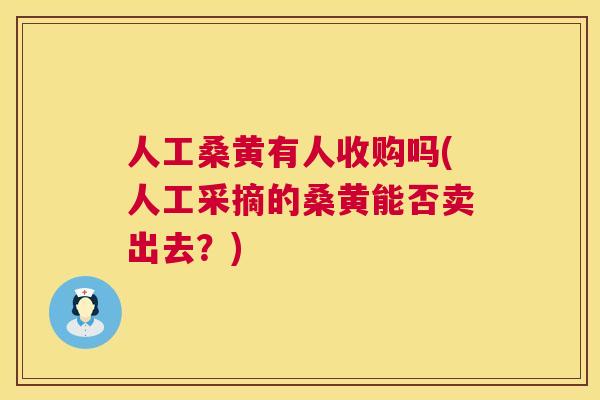 人工桑黄有人收购吗(人工采摘的桑黄能否卖出去?) 人工桑黄有人收购吗(人工采摘的桑黄能否卖出去?)