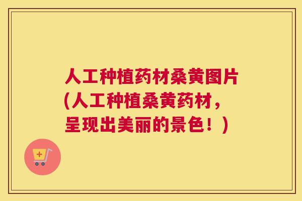 人工种植药材桑黄图片(人工种植桑黄药材,呈现出美丽的景色!) 人工种植药材桑黄图片(人工种植桑黄药材,呈现出美丽的景色!)