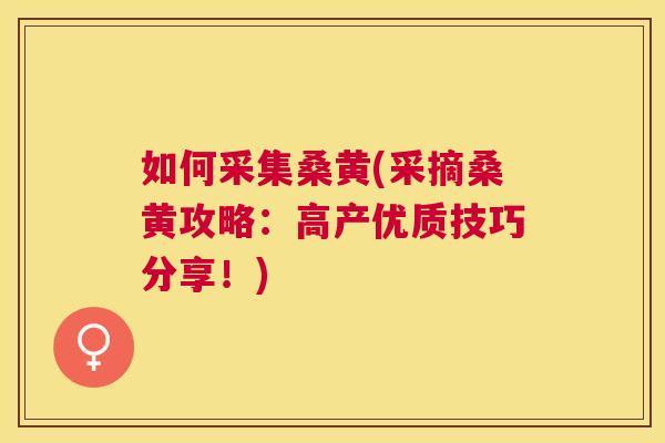 如何采集桑黄(采摘桑黄攻略:高产优质技巧分享!) 如何采集桑黄(采摘桑黄攻略:高产优质技巧分享!)