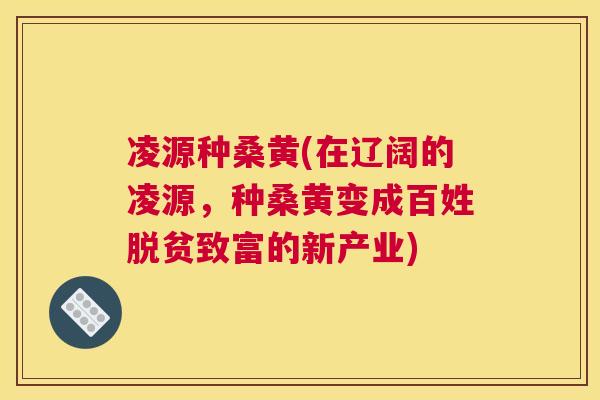 凌源种桑黄(在辽阔的凌源,种桑黄变成百姓脱贫致富的新产业) 凌源种桑黄(在辽阔的凌源,种桑黄变成百姓脱贫致富的新产业)