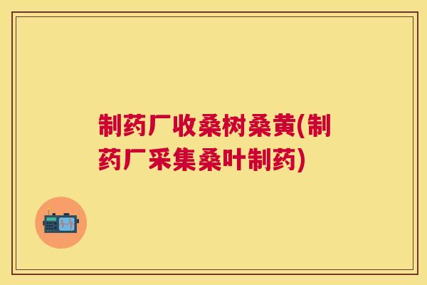 制药厂收桑树桑黄(制药厂采集桑叶制药) 制药厂收桑树桑黄(制药厂采集桑叶制药)