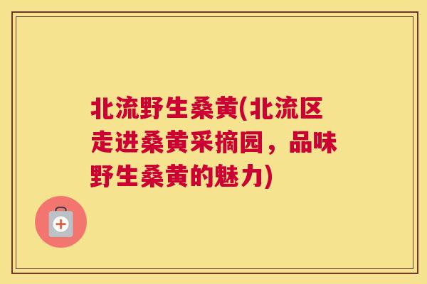 北流野生桑黄(北流区走进桑黄采摘园,品味野生桑黄的魅力) 北流野生桑黄(北流区走进桑黄采摘园,品味野生桑黄的魅力)