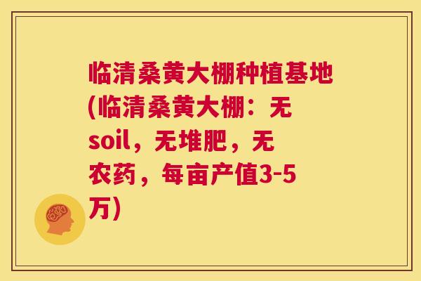 临清桑黄大棚种植基地(临清桑黄大棚:无 soil,无堆肥,无农药,每亩产值3-5万) 临清桑黄大棚种植基地(临清桑黄大棚:无 soil,无堆肥,无农药,每亩产值3-5万)