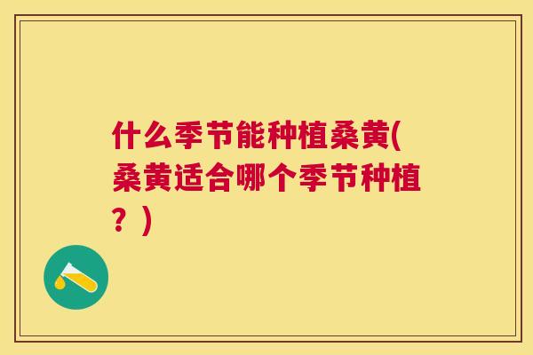 什么季节能种植桑黄(桑黄适合哪个季节种植?) 什么季节能种植桑黄(桑黄适合哪个季节种植?)