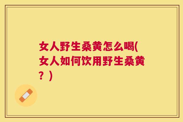 女人野生桑黄怎么喝(女人如何饮用野生桑黄?) 女人野生桑黄怎么喝(女人如何饮用野生桑黄?)