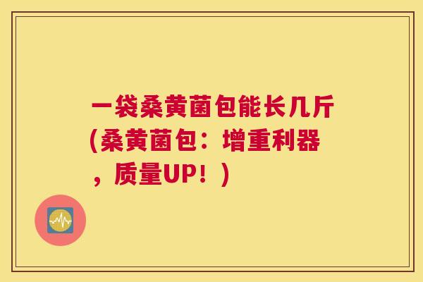 一袋桑黄菌包能长几斤(桑黄菌包:增重利器,质量UP!) 一袋桑黄菌包能长几斤(桑黄菌包:增重利器,质量UP!)