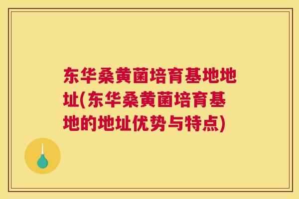 东华桑黄菌培育基地地址(东华桑黄菌培育基地的地址优势与特点)