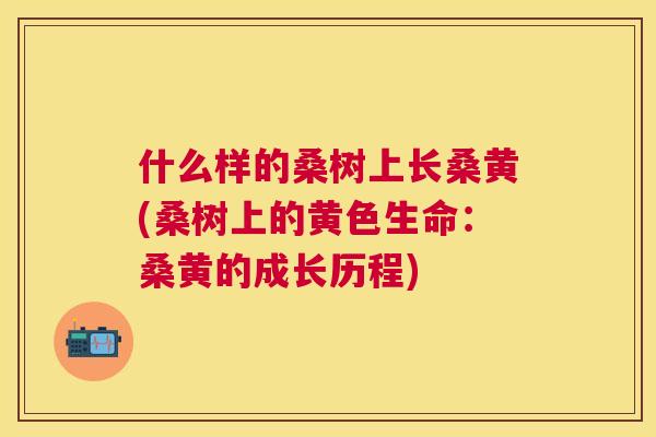 什么样的桑树上长桑黄(桑树上的黄色生命:桑黄的成长历程) 什么样的桑树上长桑黄(桑树上的黄色生命:桑黄的成长历程)
