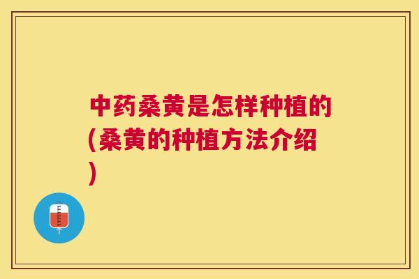 桑黄是怎样种植的(桑黄的种植方法介绍) 桑黄是怎样种植的(桑黄的种植方法介绍)