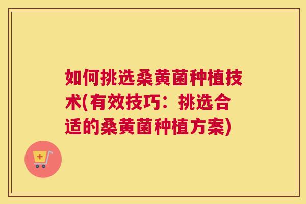 如何挑选桑黄菌种植技术(有效技巧:挑选合适的桑黄菌种植方案) 如何挑选桑黄菌种植技术(有效技巧:挑选合适的桑黄菌种植方案)