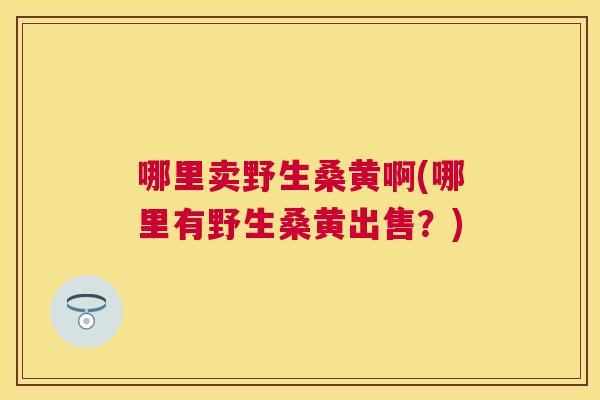 哪里卖野生桑黄啊(哪里有野生桑黄出售?) 哪里卖野生桑黄啊(哪里有野生桑黄出售?)