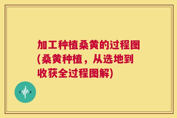 加工种植桑黄的过程图(桑黄种植,从选地到收获全过程图解) 加工种植桑黄的过程图(桑黄种植,从选地到收获全过程图解)