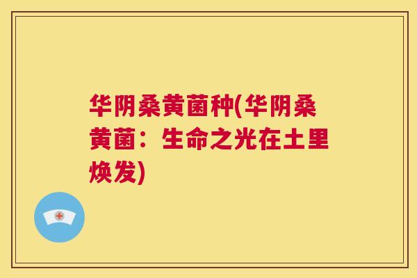 华阴桑黄菌种(华阴桑黄菌:生命之光在土里焕发) 华阴桑黄菌种(华阴桑黄菌:生命之光在土里焕发)