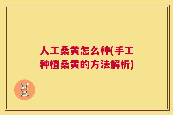 人工桑黄怎么种(手工种植桑黄的方法解析) 人工桑黄怎么种(手工种植桑黄的方法解析)