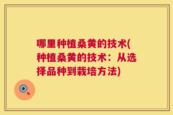 哪里种植桑黄的技术(种植桑黄的技术:从选择品种到栽培方法) 哪里种植桑黄的技术(种植桑黄的技术:从选择品种到栽培方法)
