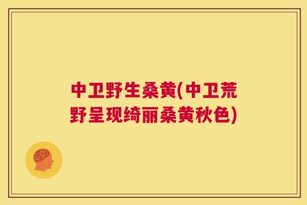 中卫野生桑黄(中卫荒野呈现绮丽桑黄秋色)