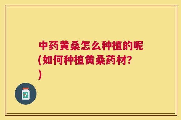 黄桑怎么种植的呢(如何种植黄桑药材?) 黄桑怎么种植的呢(如何种植黄桑药材?)