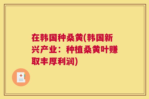 在韩国种桑黄(韩国新兴产业：种植桑黄叶赚取丰厚利润)