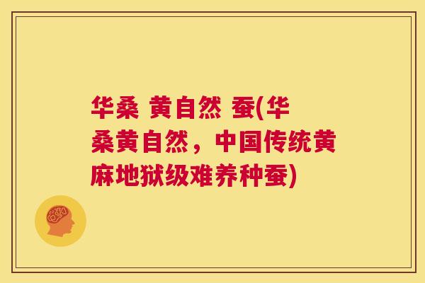 华桑 黄自然 蚕(华桑黄自然,中国传统黄麻地狱级难养种蚕) 华桑 黄自然 蚕(华桑黄自然,中国传统黄麻地狱级难养种蚕)