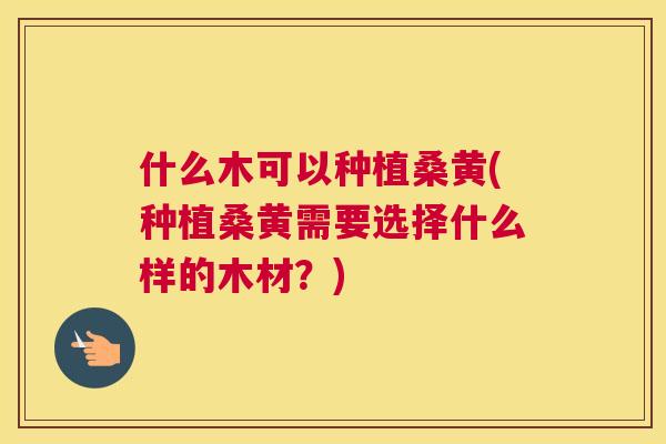 什么木可以种植桑黄(种植桑黄需要选择什么样的木材?) 什么木可以种植桑黄(种植桑黄需要选择什么样的木材?)