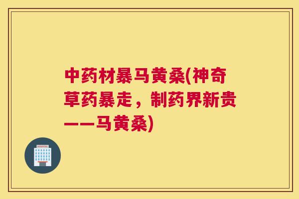 材暴马黄桑(神奇草药暴走，制药界新贵——马黄桑)