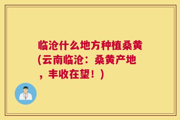 临沧什么地方种植桑黄(云南临沧:桑黄产地,丰收在望!) 临沧什么地方种植桑黄(云南临沧:桑黄产地,丰收在望!)