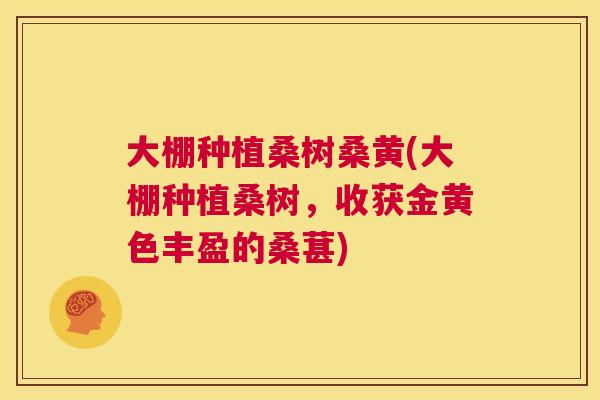 大棚种植桑树桑黄(大棚种植桑树,收获金黄色丰盈的桑葚) 大棚种植桑树桑黄(大棚种植桑树,收获金黄色丰盈的桑葚)