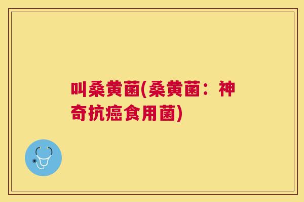 叫桑黄菌(桑黄菌:神奇抗食用菌) 叫桑黄菌(桑黄菌:神奇抗食用菌)