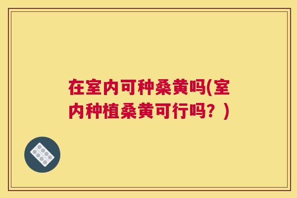 在室内可种桑黄吗(室内种植桑黄可行吗?) 在室内可种桑黄吗(室内种植桑黄可行吗?)