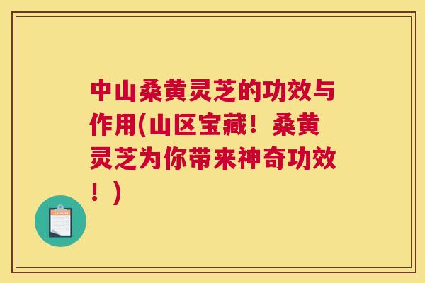 中山桑黄灵芝的功效与作用(山区宝藏!桑黄灵芝为你带来神奇功效!) 中山桑黄灵芝的功效与作用(山区宝藏!桑黄灵芝为你带来神奇功效!)