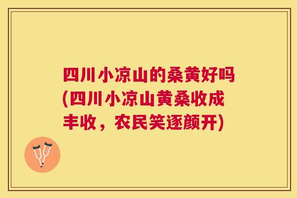 四川小凉山的桑黄好吗(四川小凉山黄桑收成丰收,农民笑逐颜开) 四川小凉山的桑黄好吗(四川小凉山黄桑收成丰收,农民笑逐颜开)