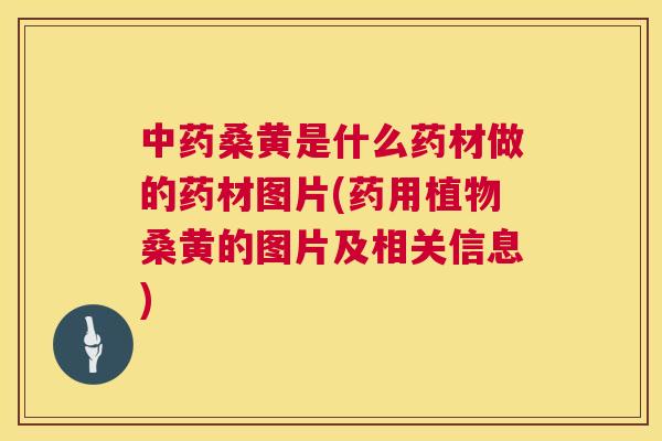 桑黄是什么药材做的药材图片(药用植物桑黄的图片及相关信息) 桑黄是什么药材做的药材图片(药用植物桑黄的图片及相关信息)