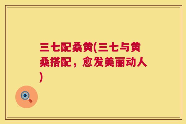 三七配桑黄(三七与黄桑搭配,愈发美丽动人) 三七配桑黄(三七与黄桑搭配,愈发美丽动人)