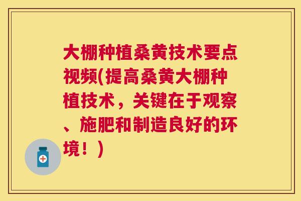 大棚种植桑黄技术要点视频(提高桑黄大棚种植技术,关键在于观察、施肥和制造良好的环境!) 大棚种植桑黄技术要点视频(提高桑黄大棚种植技术,关键在于观察、施肥和制造良好的环境!)