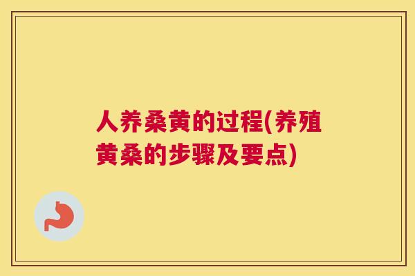 人养桑黄的过程(养殖黄桑的步骤及要点) 人养桑黄的过程(养殖黄桑的步骤及要点)