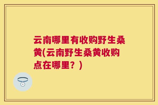 云南哪里有收购野生桑黄(云南野生桑黄收购点在哪里?) 云南哪里有收购野生桑黄(云南野生桑黄收购点在哪里?)