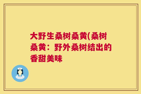 大野生桑树桑黄(桑树桑黄:野外桑树结出的香甜美味 大野生桑树桑黄(桑树桑黄:野外桑树结出的香甜美味