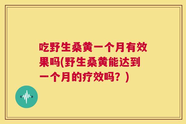 吃野生桑黄一个月有效果吗(野生桑黄能达到一个月的疗效吗?) 吃野生桑黄一个月有效果吗(野生桑黄能达到一个月的疗效吗?)