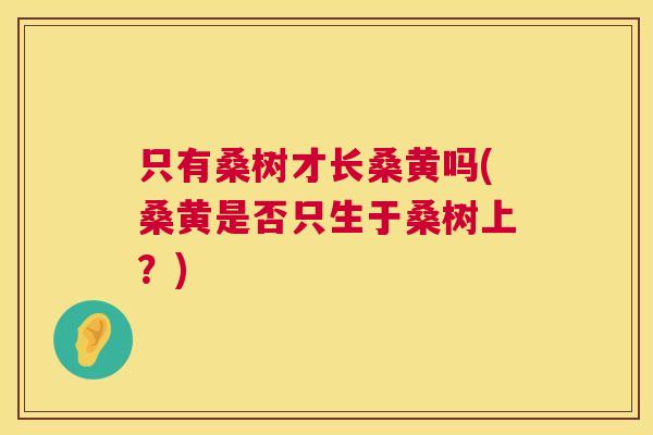 只有桑树才长桑黄吗(桑黄是否只生于桑树上?) 只有桑树才长桑黄吗(桑黄是否只生于桑树上?)
