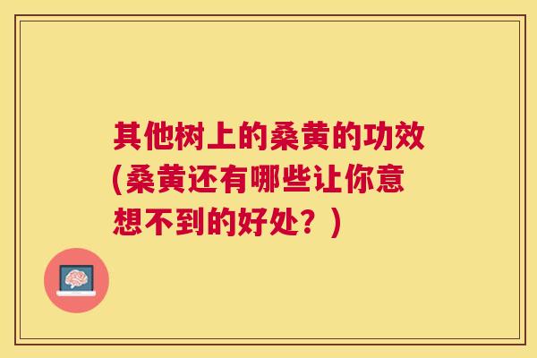 其他树上的桑黄的功效(桑黄还有哪些让你意想不到的好处?) 其他树上的桑黄的功效(桑黄还有哪些让你意想不到的好处?)