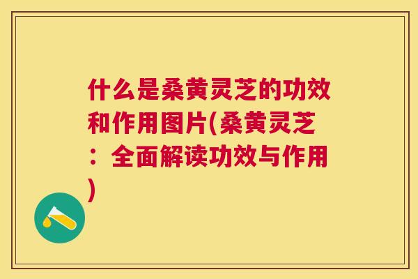 什么是桑黄灵芝的功效和作用图片(桑黄灵芝:全面解读功效与作用) 什么是桑黄灵芝的功效和作用图片(桑黄灵芝:全面解读功效与作用)