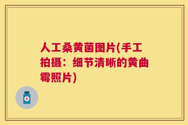 人工桑黄菌图片(手工拍摄:细节清晰的黄曲霉照片) 人工桑黄菌图片(手工拍摄:细节清晰的黄曲霉照片)