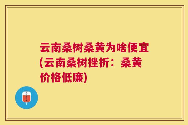 云南桑树桑黄为啥便宜(云南桑树挫折:桑黄价格低廉) 云南桑树桑黄为啥便宜(云南桑树挫折:桑黄价格低廉)