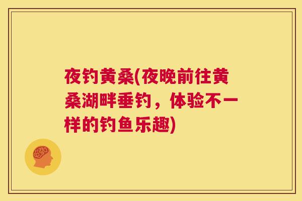 夜钓黄桑(夜晚前往黄桑湖畔垂钓,体验不一样的钓鱼乐趣) 夜钓黄桑(夜晚前往黄桑湖畔垂钓,体验不一样的钓鱼乐趣)