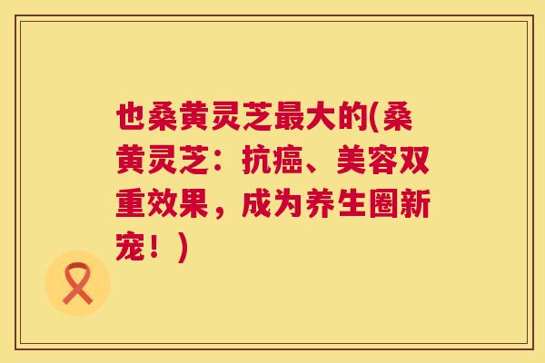 也桑黄灵芝大的(桑黄灵芝:抗、美容双重效果,成为养生圈新宠!) 也桑黄灵芝大的(桑黄灵芝:抗、美容双重效果,成为养生圈新宠!)