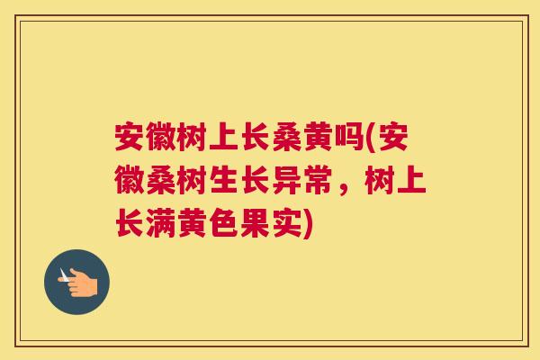 安徽树上长桑黄吗(安徽桑树生长异常,树上长满黄色果实) 安徽树上长桑黄吗(安徽桑树生长异常,树上长满黄色果实)